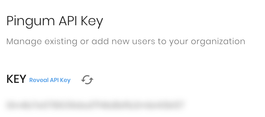 Developer API key masked